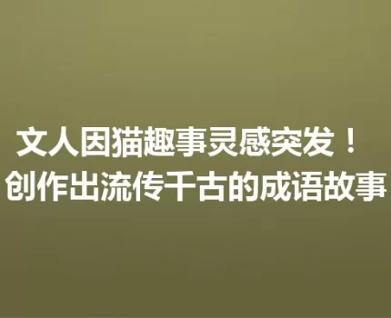 文人因猫趣事灵感突发！ 创作出流传千古的成语故事
