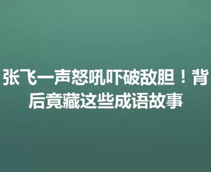 张飞一声怒吼吓破敌胆！背后竟藏这些成语故事