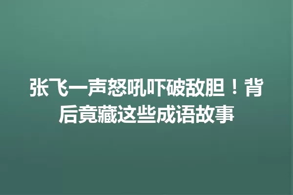 张飞一声怒吼吓破敌胆!背后竟藏这些成语故事
一