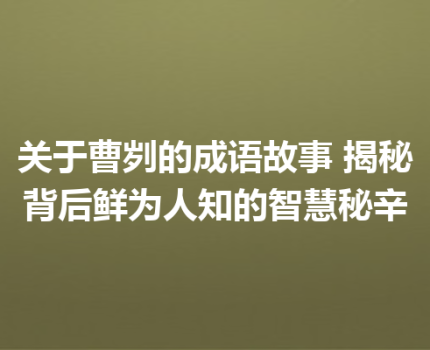 关于曹刿的成语故事 揭秘背后鲜为人知的智慧秘辛