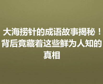 大海捞针的成语故事揭秘！背后竟藏着这些鲜为人知的真相
