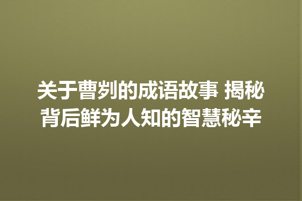 关于曹刿的成语故事 揭秘背后鲜为人知的智慧秘辛 一