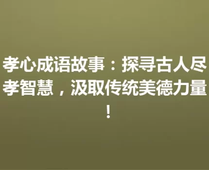 孝心成语故事：探寻古人尽孝智慧，汲取传统美德力量！