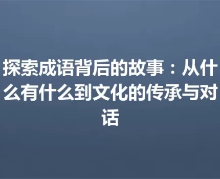 探索成语背后的故事：从什么有什么到文化的传承与对话