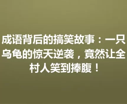 成语背后的搞笑故事：一只乌龟的惊天逆袭，竟然让全村人笑到捧腹！