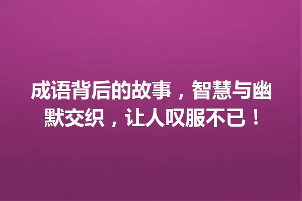 成语背后的故事,智慧与幽默交织,让人叹服不已! 一