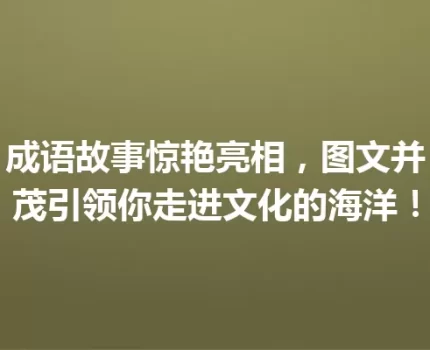 成语故事惊艳亮相，图文并茂引领你走进文化的海洋！