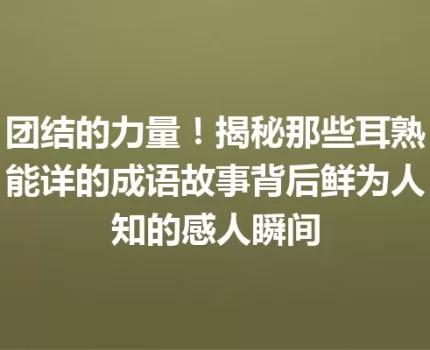 团结的力量！揭秘那些耳熟能详的成语故事背后鲜为人知的感人瞬间