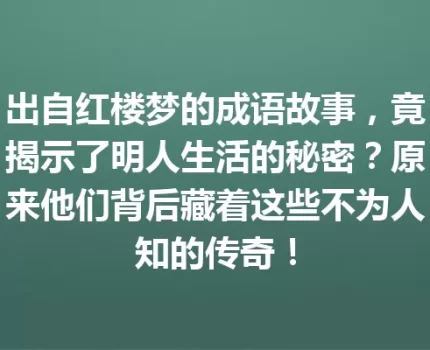 出自红楼梦的成语故事，竟揭示了明人生活的秘密？原来他们背后藏着这些不为人知的传奇！
