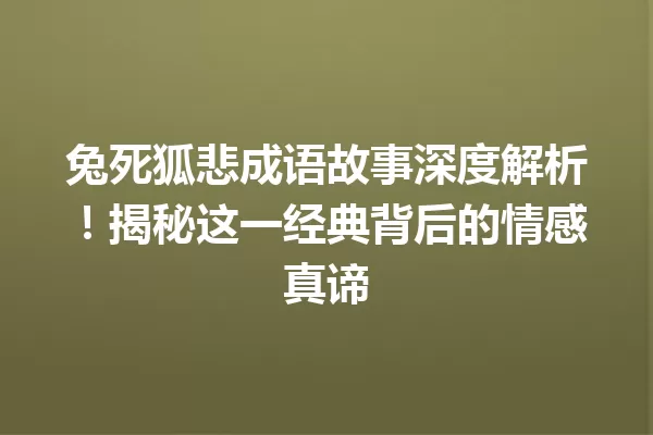 兔死狐悲成语故事深度解析!揭秘这一经典背后的情感真谛 一