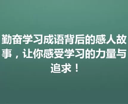 勤奋学习成语背后的感人故事，让你感受学习的力量与追求！