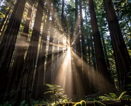 遮天蔽日！2025年最震撼视觉的自然奇观别错过