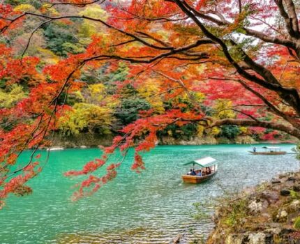 民间故事从何而来？揭秘鲜为人知的传承与演变历史