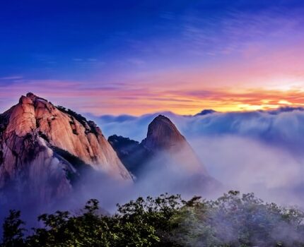 民间故事中的动物角色为何总是颠覆我们的想象？一只狗竟成了拯救家园的英雄！