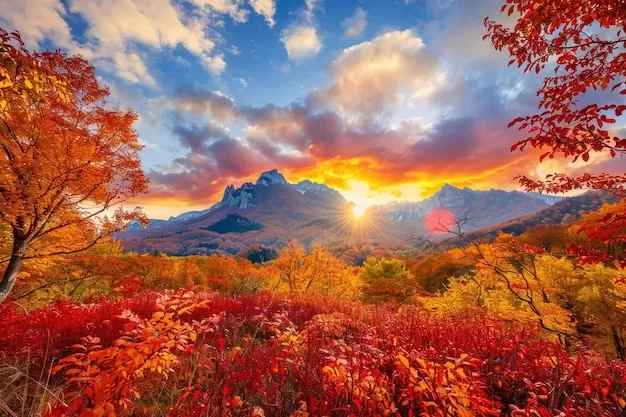 民间故事或许是文学的灵魂？探索这些小故事背后的巨大影响力！ 一