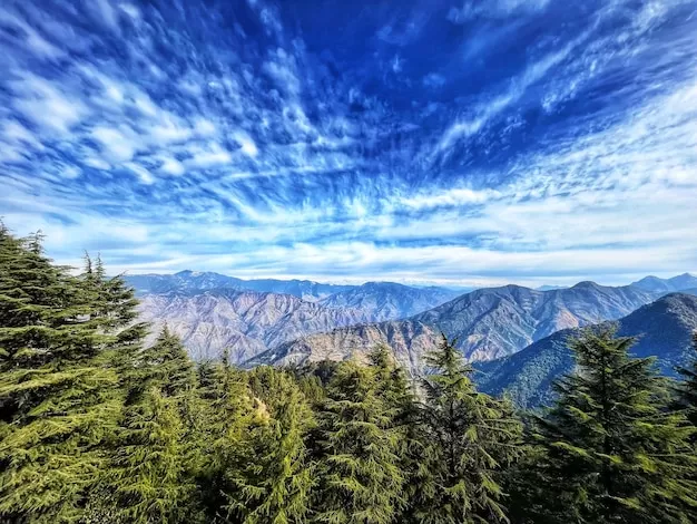 民间故事影视改编潮来袭,2025年将有多少经典重现银幕? 一