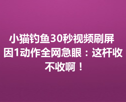 小猫钓鱼30秒视频刷屏 因1动作全网急眼：这杆收不收啊！