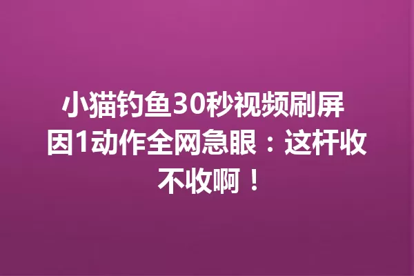 小猫钓鱼30秒视频刷屏 因1动作全网急眼:这杆收不收啊! 一