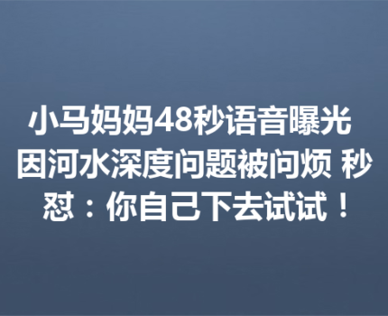 小马妈妈48秒语音曝光 因河水深度问题被问烦 秒怼：你自己下去试试！