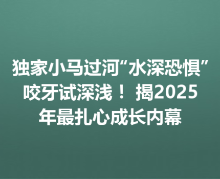 独家小马过河“水深恐惧”咬牙试深浅！ 揭2025年最扎心成长内幕
