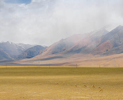 好的，我将根据您的要求对这个冗长的标题进行精简，保留其核心主题和关键信息，同时确保不超过96字的限制。

**改写后的标题：**
用吐槽式言语总结：分段讲解如何赚钱、使用SEO关键词以及创作爆款文章的技巧，教您如何以幽默方式让读者哈哈大笑并自愿转发。