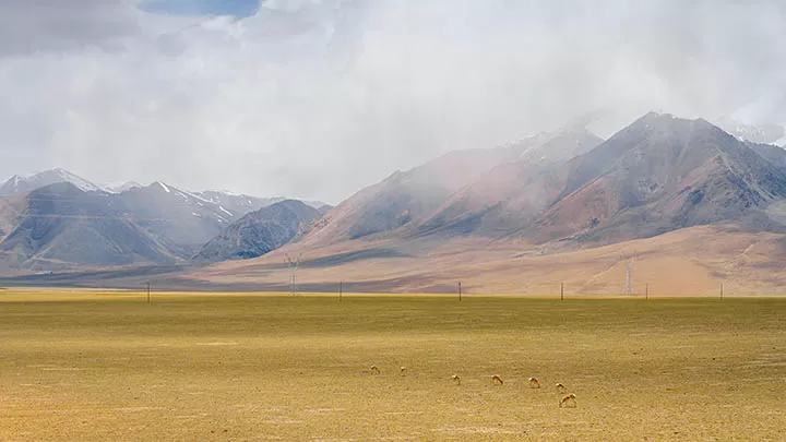 好的，我将根据您的要求对这个冗长的标题进行精简，保留其核心主题和关键信息，同时确保不超过96字的限制。
<p>推荐故事：<a style=