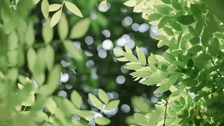 绝了！2025年最全民间故事合集遭疯传，牛郎织女竟有这么多不为人知的细节 二