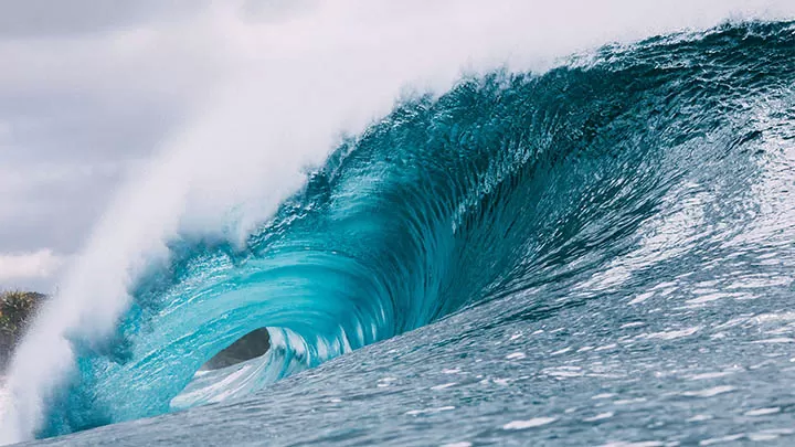 新手别当愣头青！2025年“小马过河”式生存指南爆火全网 二