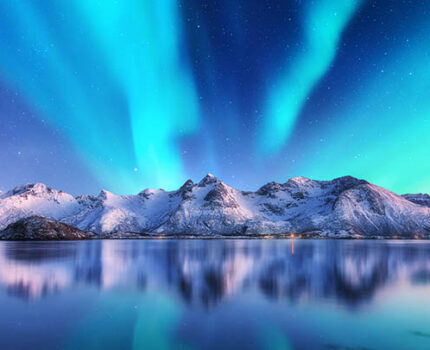 菜鸟新手2025年会演讲忘词 现场改段子竟一鸣惊人全场惊掉下巴